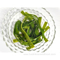 Seaweed Vegetable Organic Salted Long Kelp strip